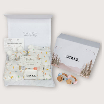 Crayontastic Newborn Bundle